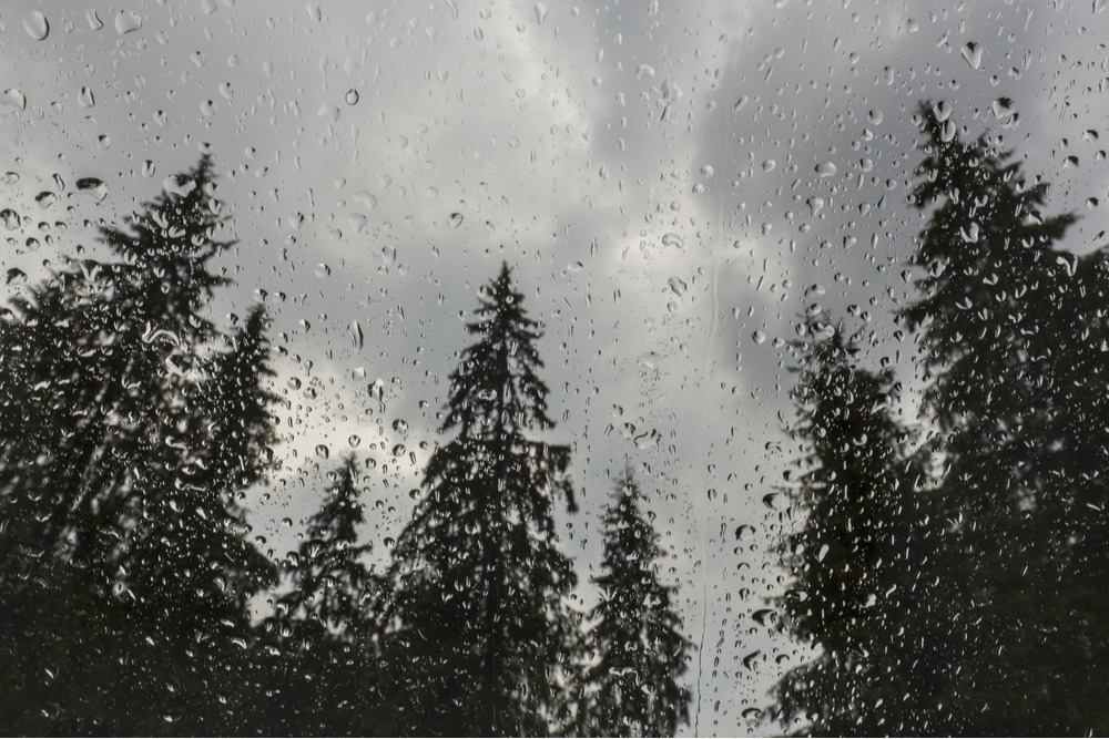 Tall pine trees and a cloudy sky, seen through a window covered in rain drops.